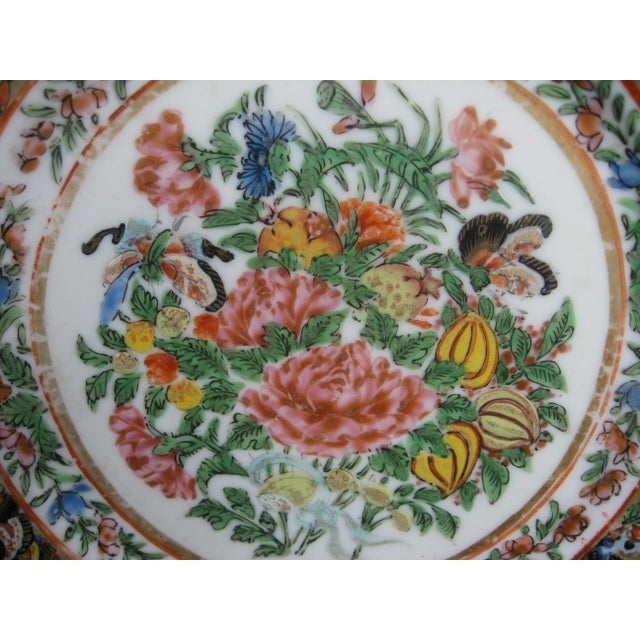 Late 19th Century Chinese Famille Rose Butterfly Plate, 1870-80 For Sale - Image 5 of 12