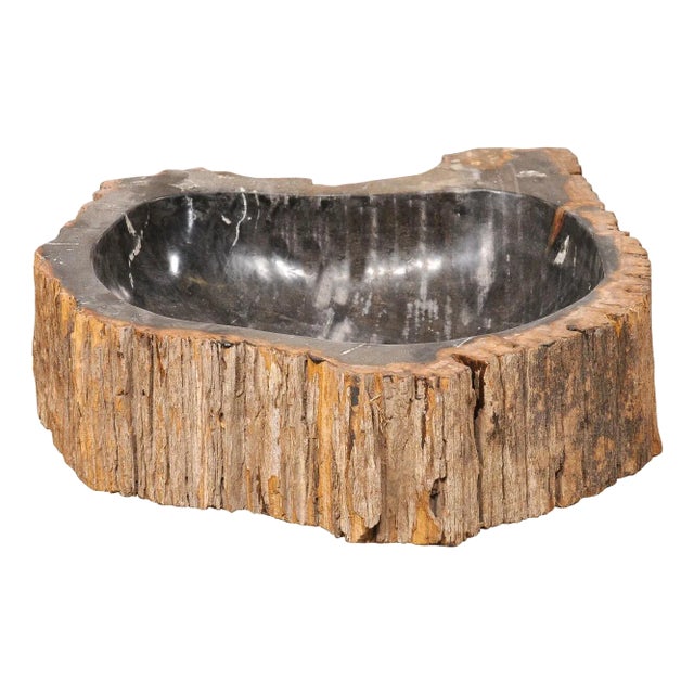 Live Edge Petrified Wood Sink, Black & Tan For Sale