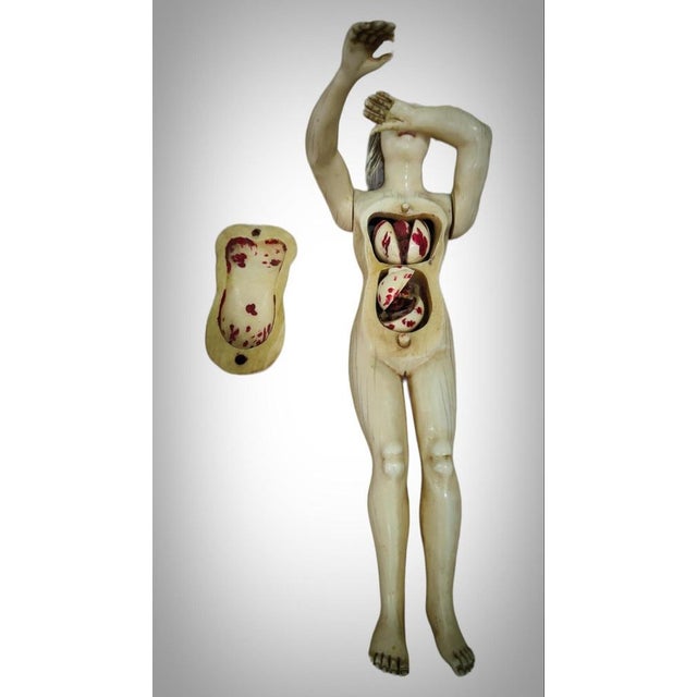 German Anatomical Model of a Pregnant Woman by Stephen Zick, 1700s For Sale - Image 6 of 18