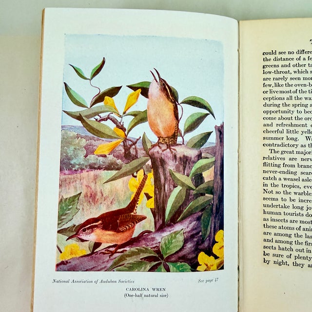 Red Antique American Bird Study Nature Books, 1909-1935, a Group of Four For Sale - Image 8 of 10