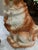 Brown 19th Century Antique Pair Bo’Ness Wally Spaniel Mantel Dogs - Staffordshire Style Scottish Pottery W/Glass Eyes & Gilt Details - 12.5” See Pics! For Sale - Image 8 of 12