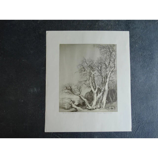 One of the great observers of trees, Mildred Bryant Brooks came late to her art, and within it her greatest love, etching,...