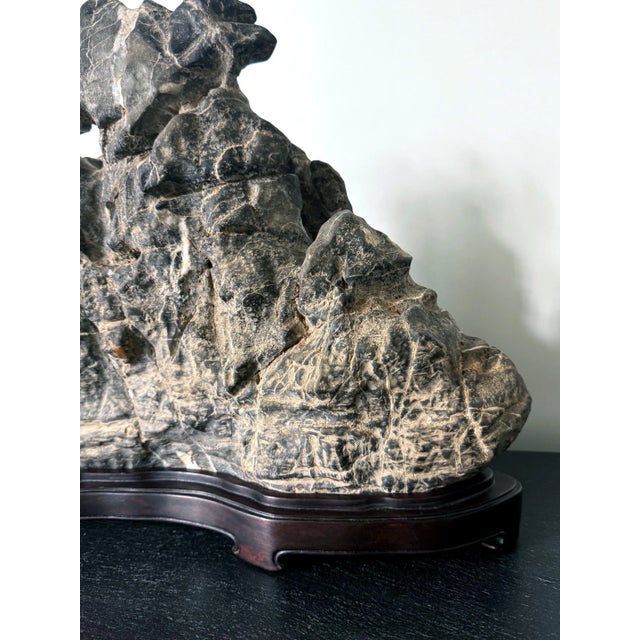 19th Century Large Chinese Horizontal Gray Lingbi Scholar Stone with Grotto on Display Stand For Sale - Image 9 of 12