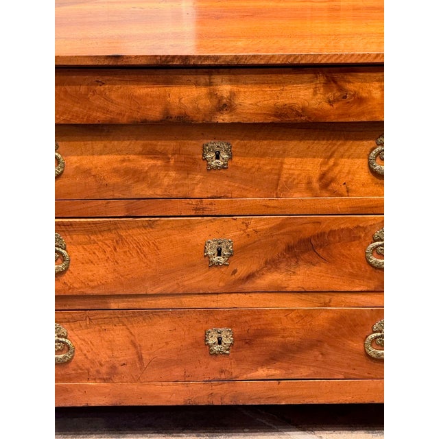 Wood 19th Century French Empire Walnut Chest For Sale - Image 7 of 12