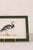 Antique hand-colored natural history engraving of a duck, circa 1865, presented in a contemporary green lacquer frame.