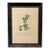 Vintage French Gooseberry Botanical Print in Distressed Black & Gold Frame For Sale