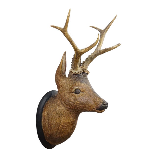 Large Naturalistic Black Forest Carved Deer Head, Ca. 1930s For Sale