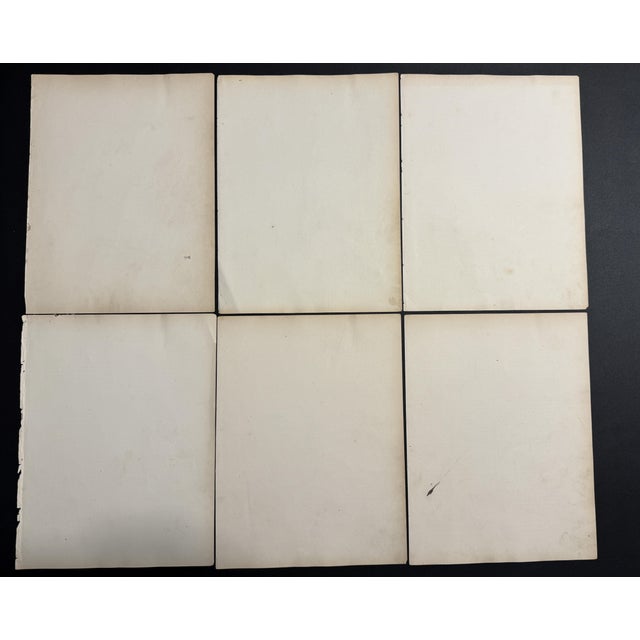 Offering for sale this exceptional collection of rare hand-colored antique engraved plates (lithographs) featuring (Murex...