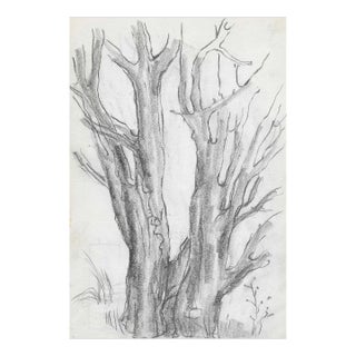 1950s Alexandra Merker Landscape Drawing For Sale