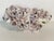 Large barnacles cluster on lucite block stand for coastal decor.