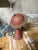 Pink/Salmon 1939 Worlds Fair Saturn Lamp. All original. Still works every time. Been in my family since the world’s fair.