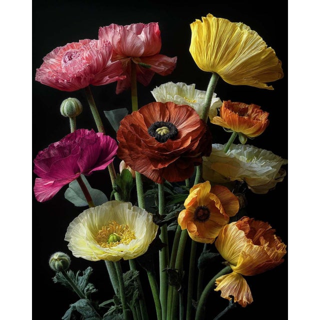 The Velvet Garden, Contemporary Landscape Photograph by Michael Filonow For Sale