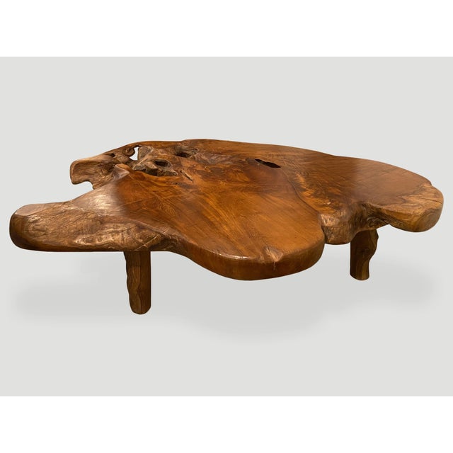 Brown Andrianna Shamaris Organic Teak Root Coffee Table For Sale - Image 8 of 18