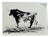 Pablo Picasso, Bull, 1962, Double-Side offset Lithograph For Sale