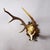 Abnorm Black Forest Red Deer Trophy on Carved Plaque Germany 1930s Item e8172 A large 8 pointer red deer (Cervus elaphus)...