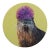 Otter's Purple Urchin Crown - Original Surreal Animal Portrait Oil Painting on Wood Panel by Jj Galloway For Sale