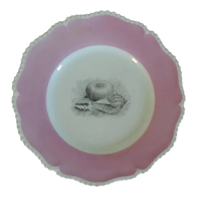 Early 19th Century English Regency Worcester Flight Barr Porcelain Sea Shell Plate For Sale