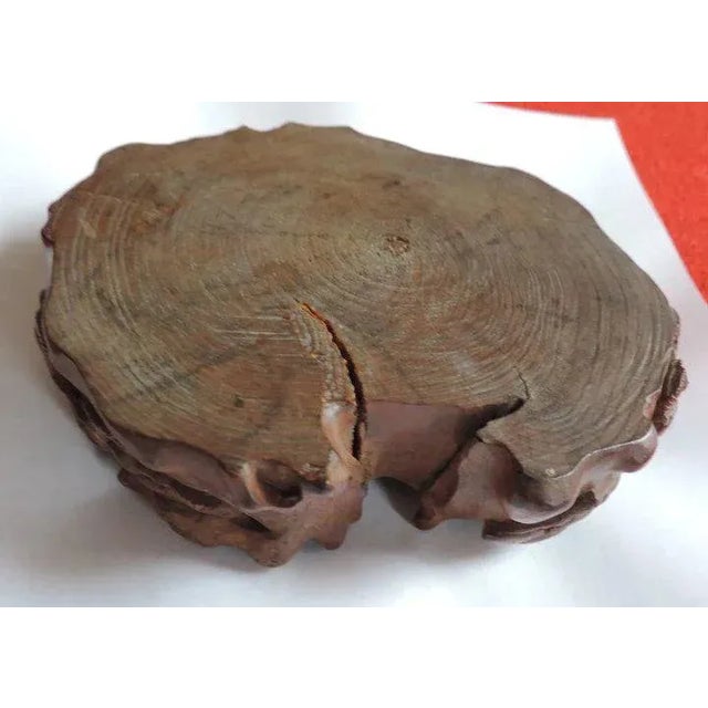 Antique 18th c. Chinese carved wood brush washer with relief pine branches. Measures 5 1/4" x 4 1/2" x 1 5/8" tall....