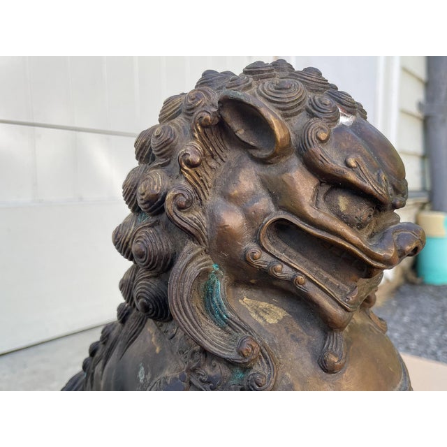 Antique Bronze Guardian Lions or Foo Dogs - A Pair For Sale - Image 13 of 17