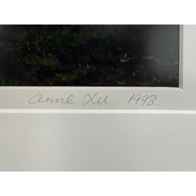 Circa 1998 Anne Lu Li River & Mount Huang Dual Exposer Photography - Signed, Titled, + Dated For Sale - Image 9 of 12