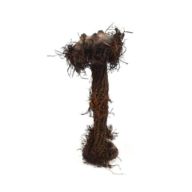 The Pende tribe is a Bantu-speaking people who reside in the southeastern region of the Democratic Republic of the Congo....