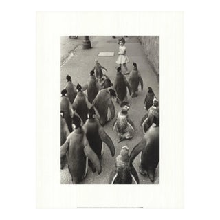 1990s Werner Bischof 'Penguins Day Out' Photography Black & White France Offset Lithograph For Sale
