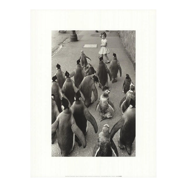 1990s Werner Bischof 'Penguins Day Out' Photography Black & White France Offset Lithograph For Sale
