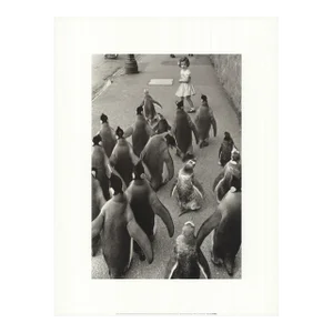 1990s Werner Bischof 'Penguins Day Out' Photography Black & White France Offset Lithograph