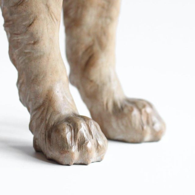 Carved Wood Dog, 1890s For Sale - Image 12 of 13