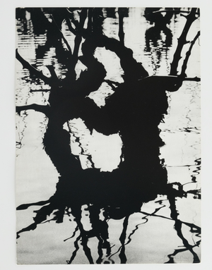Lucien Clergue, Fourgues, 1960, Heliogravure