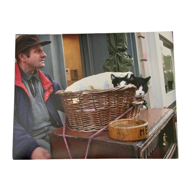 "Cats at Portobello Market, London" Contemporary Street Photograph Print by Louise Weinberg For Sale