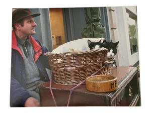 "Cats at Portobello Market, London" Contemporary Street Photograph Print by Louise Weinberg