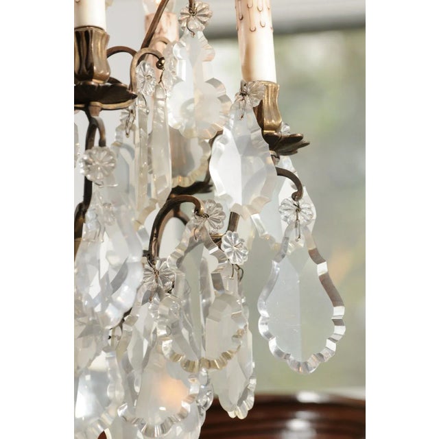 Mid 19th Century 19th Century French Six-Light Crystal Chandelier with Pendeloques and Rosettes For Sale - Image 5 of 13