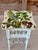 Off-white Vintage Custom Painted Tropical Decoupage Spindle Side Table For Sale - Image 8 of 12