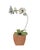 Vintage Hand Painted Potted Tole Orchid Floral Arrangement / Flower Sculpture / Object For Sale - Image 4 of 9