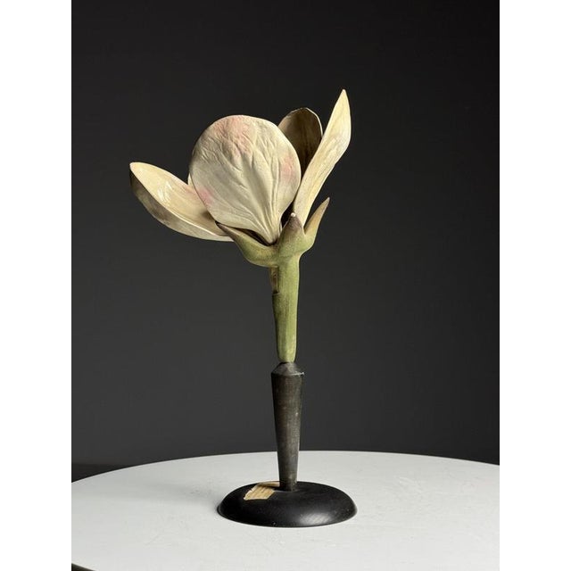 German Botanical Floral Model, 1900 For Sale - Image 10 of 18