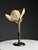 German Botanical Floral Model, 1900 For Sale - Image 10 of 18