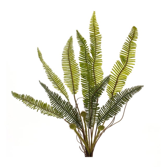 Enhance your home with the timeless beauty of lush greenery using this Variegated Fern Foliage Bush set. Featuring...