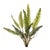 Enhance your home with the timeless beauty of lush greenery using this Variegated Fern Foliage Bush set. Featuring...