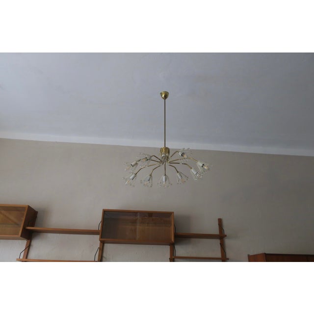 Vintage Austrian Elliptical Brass and Glass Chandelier, 1950s For Sale - Image 6 of 15