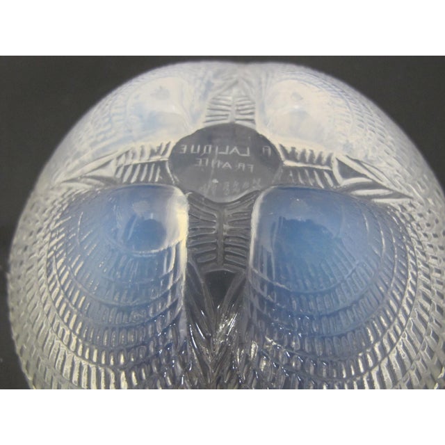 Glass Rene Lalique France Coquilles Shell Opalescent Art Deco Glass 5 1/4" Bowl For Sale - Image 7 of 11