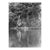 1964 River Landscape and Canoe Photograph For Sale