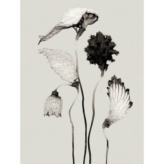 Contemporary Set of 8 — “Flowers” Black & White Botanical Photography Prints | Unframed For Sale - Image 3 of 10