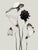 Contemporary Set of 8 — “Flowers” Black & White Botanical Photography Prints | Unframed For Sale - Image 3 of 10