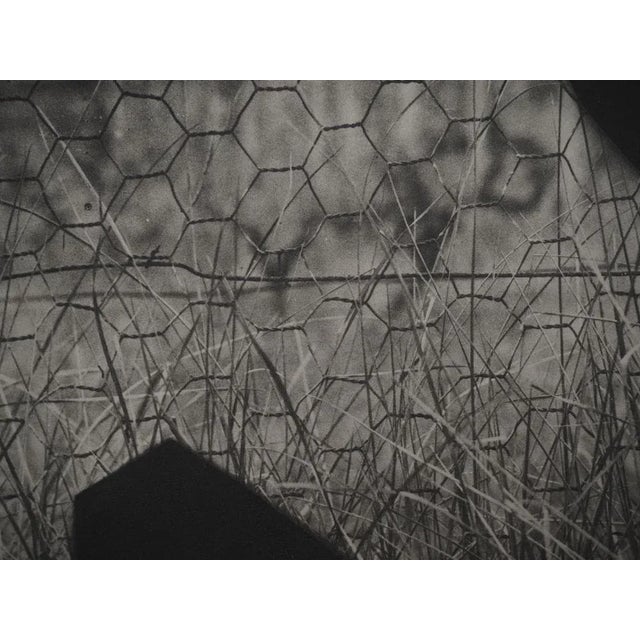 Pablo Picasso, Diurnal, The Goat at the Fence, Original Phototype For Sale - Image 4 of 6