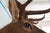 Elk 13 Point Mount Head and Bust For Sale - Image 11 of 18