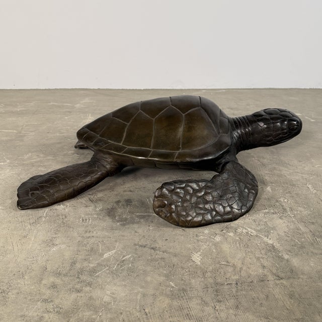 Bronze Large Bronze Sea Turtle Sculpture – 26” L For Sale - Image 8 of 14
