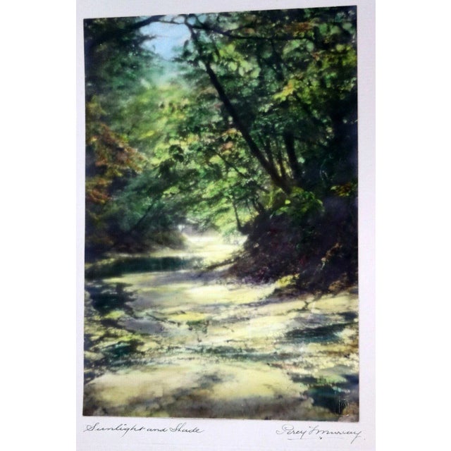 For your consideration is gorgeous and rare antique hand-colored photo print (gelatin silver) titled "Sunlight and Shade"...