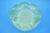 20th Century Tulip Bowl Iridescent Murano Sommerso Glass attributed to Alfredo Barbini for Seguso, 1950s For Sale - Image 8 of 18