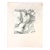Vintage 60s Graphite Drawing of Back Torso Nude Figure by Ed Rosen For Sale